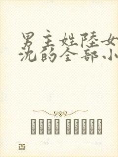 男主姓陆女主姓沈的全部小说