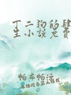 丁二狗的肆意人生小说免费阅读