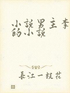 小说男主李辰安的小说