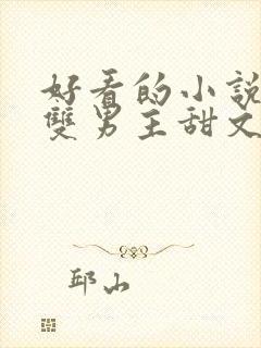 好看的小说推荐双男主甜文