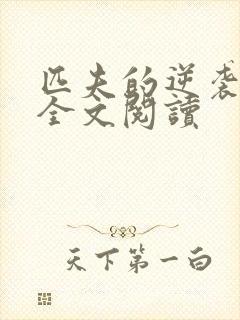 匹夫的逆袭免费全文阅读