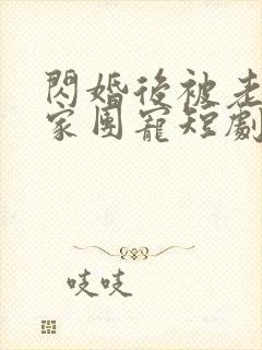 闪婚后被老公全家团宠短剧一口气看完