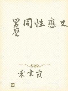 男同性恋又叫什么