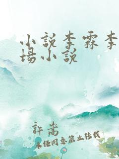 小说李霖李澜官场小说