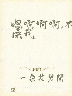 嗯啊啊啊,不要操我