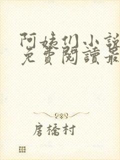 阿姨们小说全文免费阅读最新章节