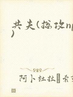 共夫(总攻np)