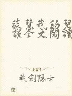 苏慧我的儿媳小说全文阅读