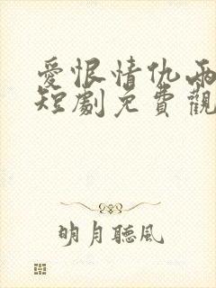 爱恨情仇两难全短剧免费观看高清