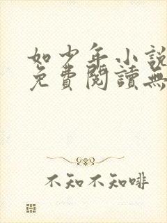 如少年小说全文免费阅读无弹窗