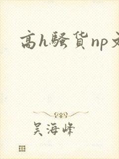 高h骚货np文