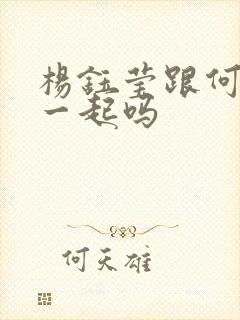 杨钰莹跟何炅在一起吗