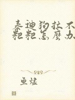 泰迪狗拉不出来粑粑怎么办