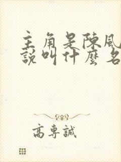 主角是陈风的小说叫什么名