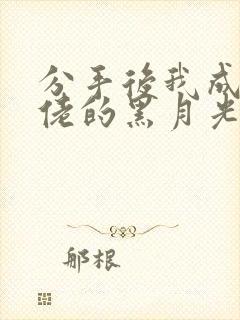 分手后我成了大佬的黑月光免费全