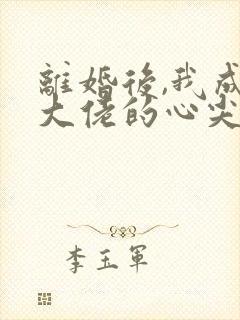 离婚后,我成了大佬的心尖宠 小说