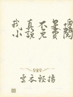 我真不是傻子了小说免费阅读全文