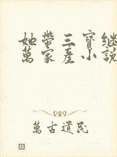 她带三宝继承亿万家产小说