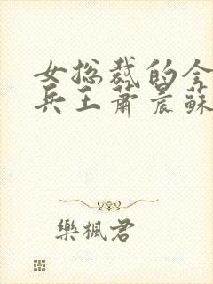 女总裁的全能型兵王萧晨苏晴