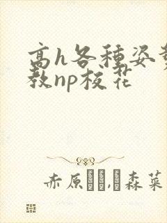 高h各种姿势调教np校花