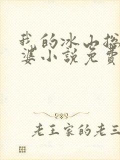 我的冰山总裁老婆小说免费