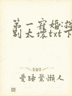 第一宠婚:总裁别太坏txt下载