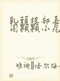 乳头根部长了一圈颗颗小疙瘩