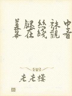 美腿丝袜中文字幕在线观看