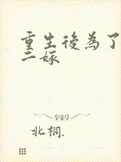 重生后为了赎罪二嫁