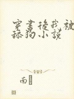 穿书后我被迫当舔狗小说