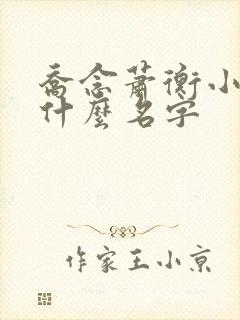 乔念萧衡小说叫什么名字