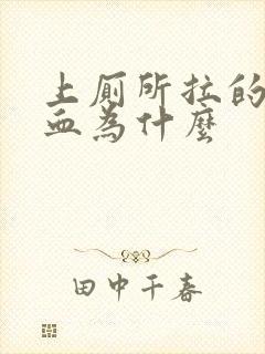 上厕所拉的全是血为什么