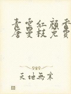 青云红颜香陈言唐曼枝免费阅读笔趣阁