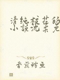 清纯校花的日常小说沈柔免费阅读