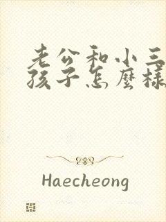 老公和小三有了孩子怎么样处理