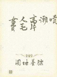 女人高潮喷潮免费毛片