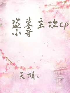 盗墓主攻cp是小哥