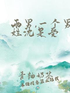 两男,一个男主姓沈是受