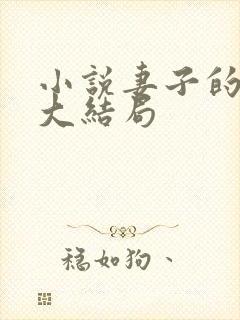 小说妻子的复仇大结局