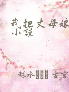 我把丈母娘上了小说