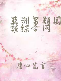 亚洲另类图片小说综合网