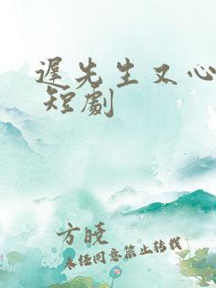 迟先生又心动了 短剧