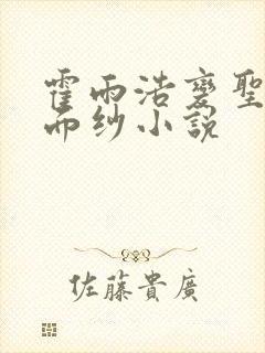 霍雨浩变圣子戴面纱小说