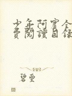 少年阿宾全文免费阅读目录