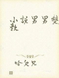 小说男男双性调教