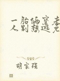 一胎俩宝老婆大人别想逃免费阅读全文