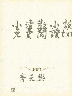 小清欢小说全文免费阅读txt