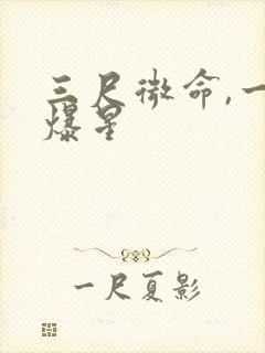 三尺微命,一拳爆星