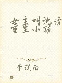 女主叫沈清宁的重生小说