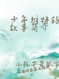 少年维特的烦恼故事简介